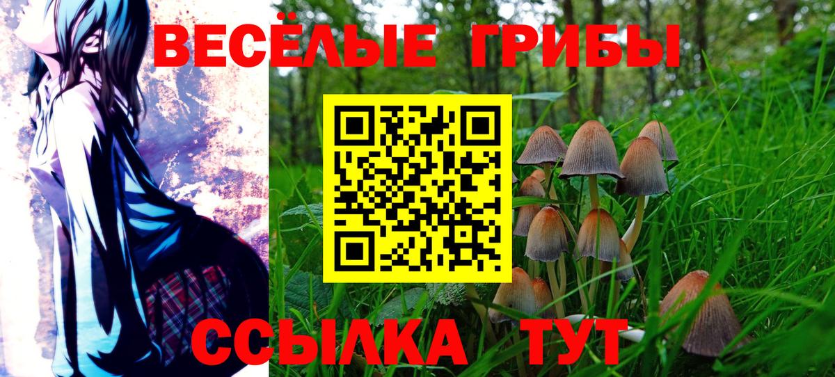 Галлюциногенные грибы прущие грибы  Вход с VPN  Усть-Джегута 